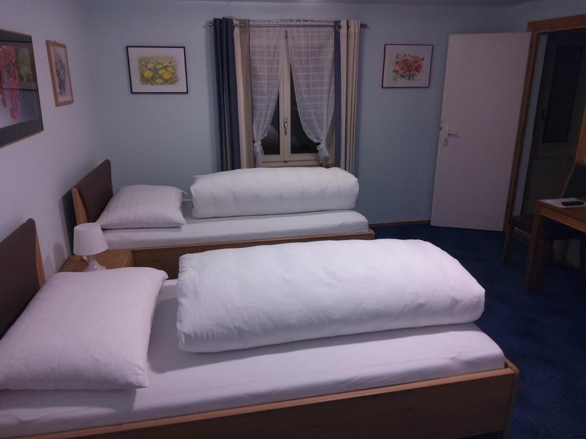 Hotel Gotthard Гёшенен Экстерьер фото